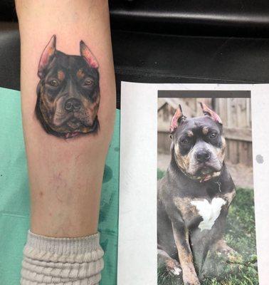 Portrait tattoo April did of my dog. I love it!