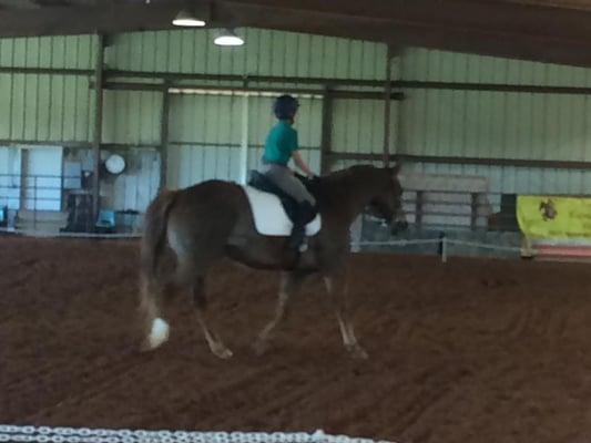 GF Lesson Horse, Thumper, and GF student, Rodrigo competing in a dressage show held at Gallery Farm.