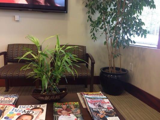 Big office with real plants, comfortable chairs and big flat screen tv