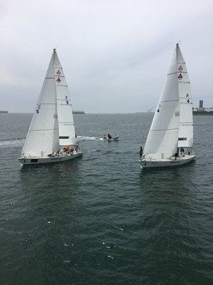 Sailboat Regatta in Long Beach