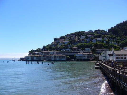 Sausalito View