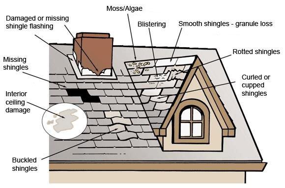 How old is your roof? What type of damage?