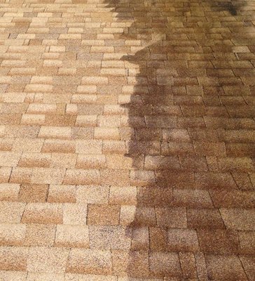 Have black streaks on your roof? Our roof cleaning service can transform the appearance of your home.