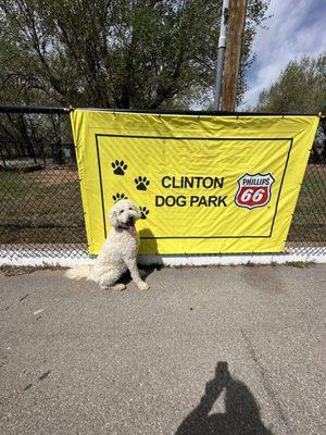 Clinton Dog park