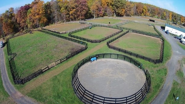 Round Pen and Many Pastures for Turn-Out