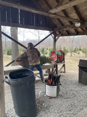 The owner wrapping our tree for us!