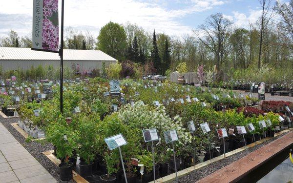 Part of the nursery area at Winter Greenhouse