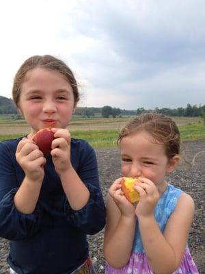 Peaches!!! The first of the year.