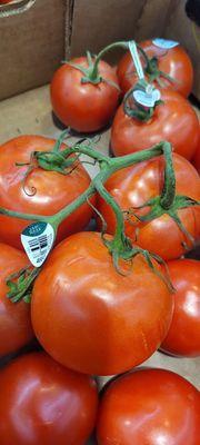 Fresh produce - tomatoes