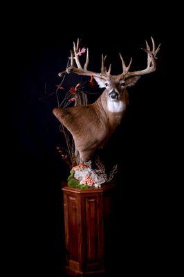 White tail floor pedestal on base.