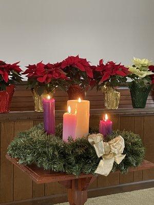 Poinsettias and Advent wreath at Christmas