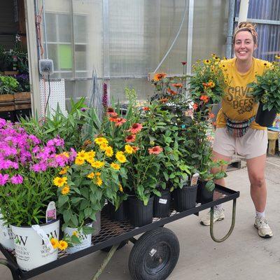 A customer happily purchasing a large cart of pollinator-friendly perennials!