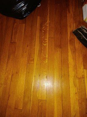 Scratched hardwood floors