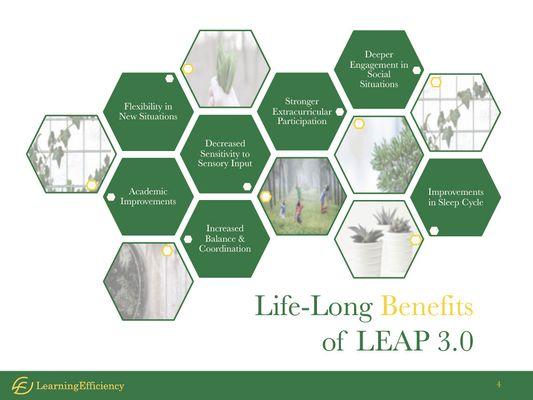 Real-world applications of our LEAP program.