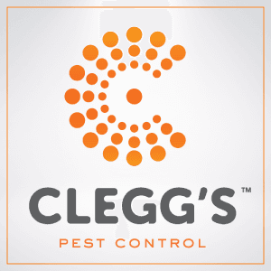 Clegg's Pest Control - Morehead City