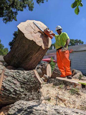 Big John's Tree Removal