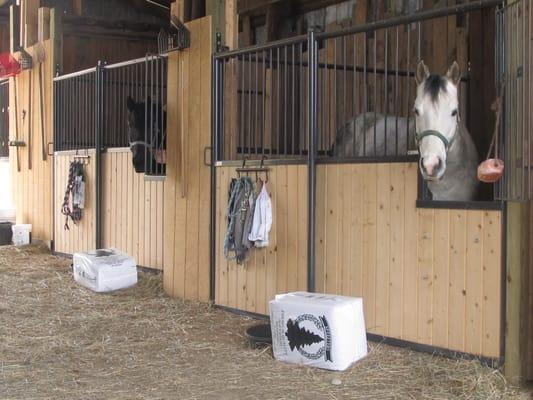 Licking County Equestrian Center