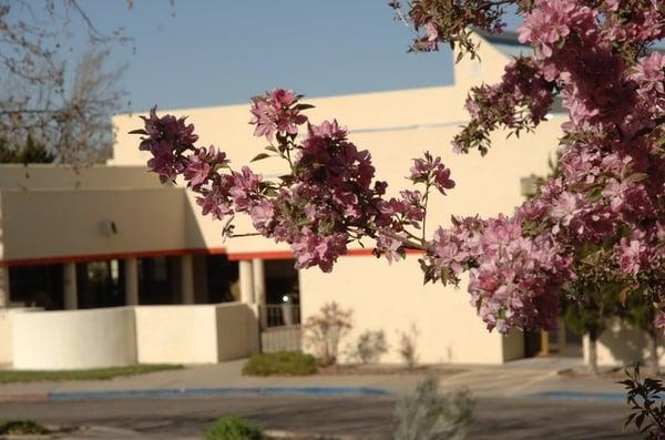 Bear Canyon Senior Center