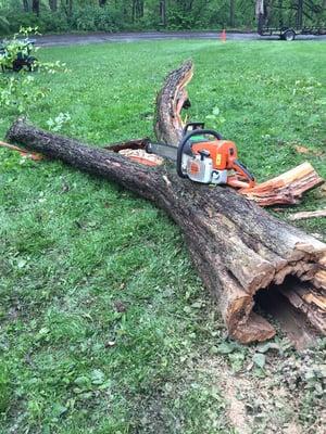 Removal of small trees and fallen limbs/storm damage.