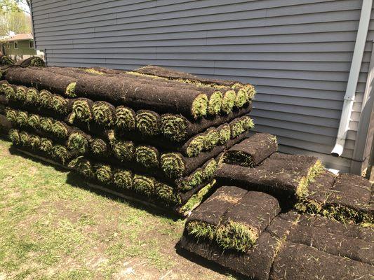 The Sod Squad - New rolls of Kentucky Blue Grass ready to be layed for a new residential sod install