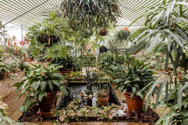 One of the greenhouses.