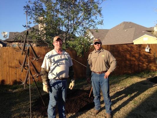 Mark and Martin installing (2) 65 gallon Live Oak trees in Buda, Texas