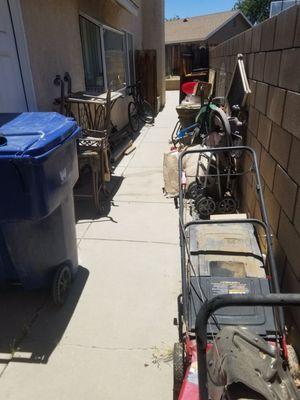 My side yard trash