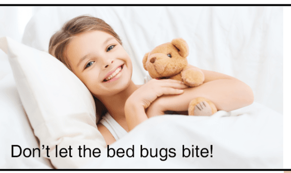 Bed Bug Private Investigators