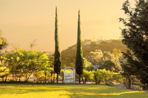 Our backyard views overlook the beautiful rolling hills of Hidden Meadows.