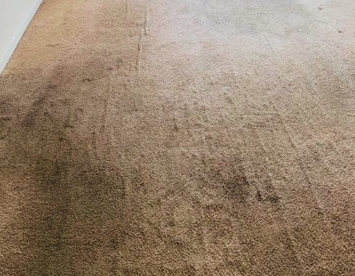 Residential Carpet Cleaning - Before