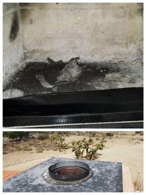 Installing rain cap and spark arrestor on your chimney can spare you from a situation like this. Dead bird inside chimney.