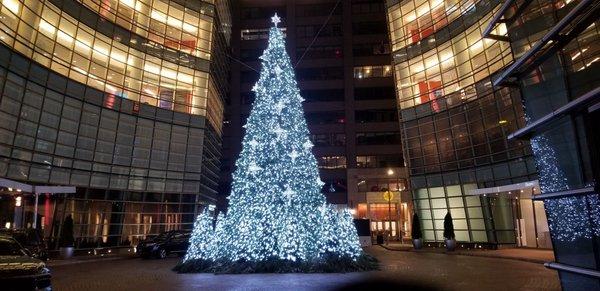 The fabulous tree at Bloomberg HQ