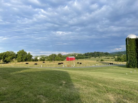 RV park,Cows,Silos