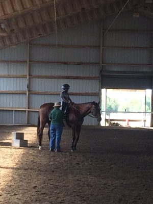 Hadji after initial instruction in the care of the horse.