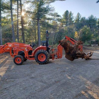 Stump removal