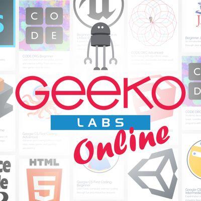 Tons of online learning options with Geeko