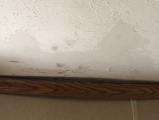 Black mold in sagging ceiling