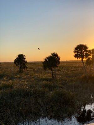 Lake Woodruff National Wildlife Refuge