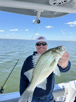 White bass catching!