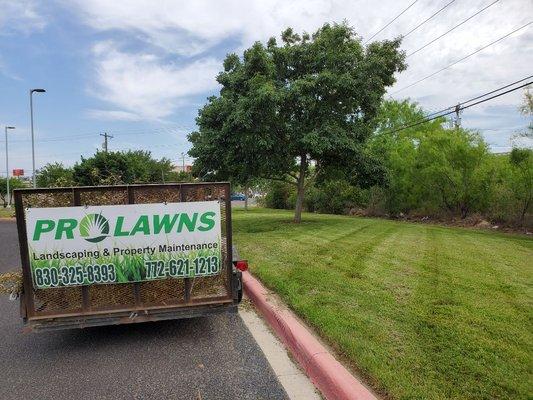 Commercial Lawn Maintenance