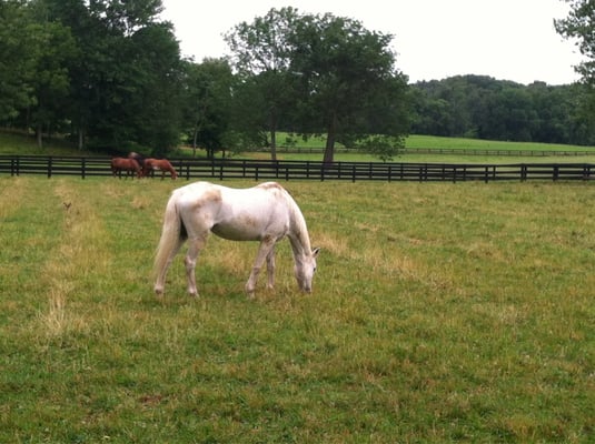 Great space for riding lessons!