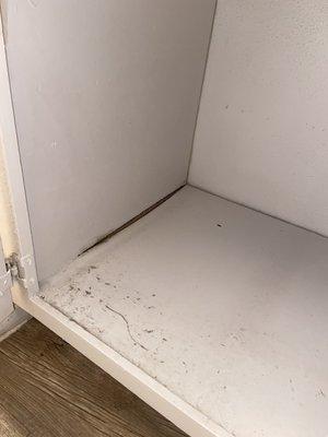 Water damage and more mold in bathroom