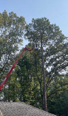 Mato's Landscape Tree Service