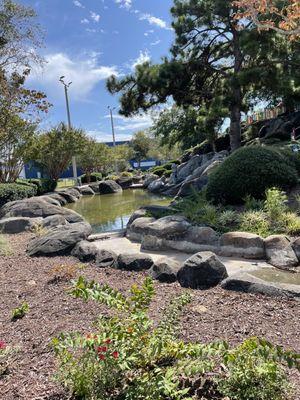 Pond of scum breeding mosquitoes