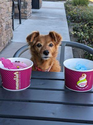 Menchie's Frozen Yogurt