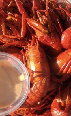 Boiled Crawfish