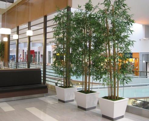 Replica Bamboo Plants