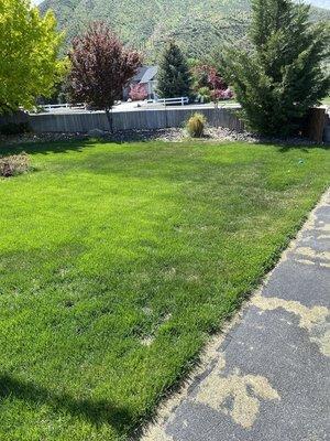 Pete's Lawn & Garden Maintenance Service Inc