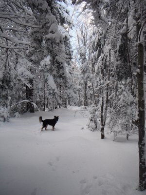 Looking for Mom- It's supper time- where is she?