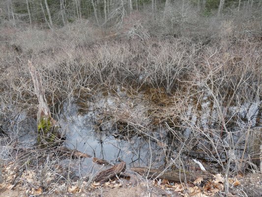 Great Pond State Park